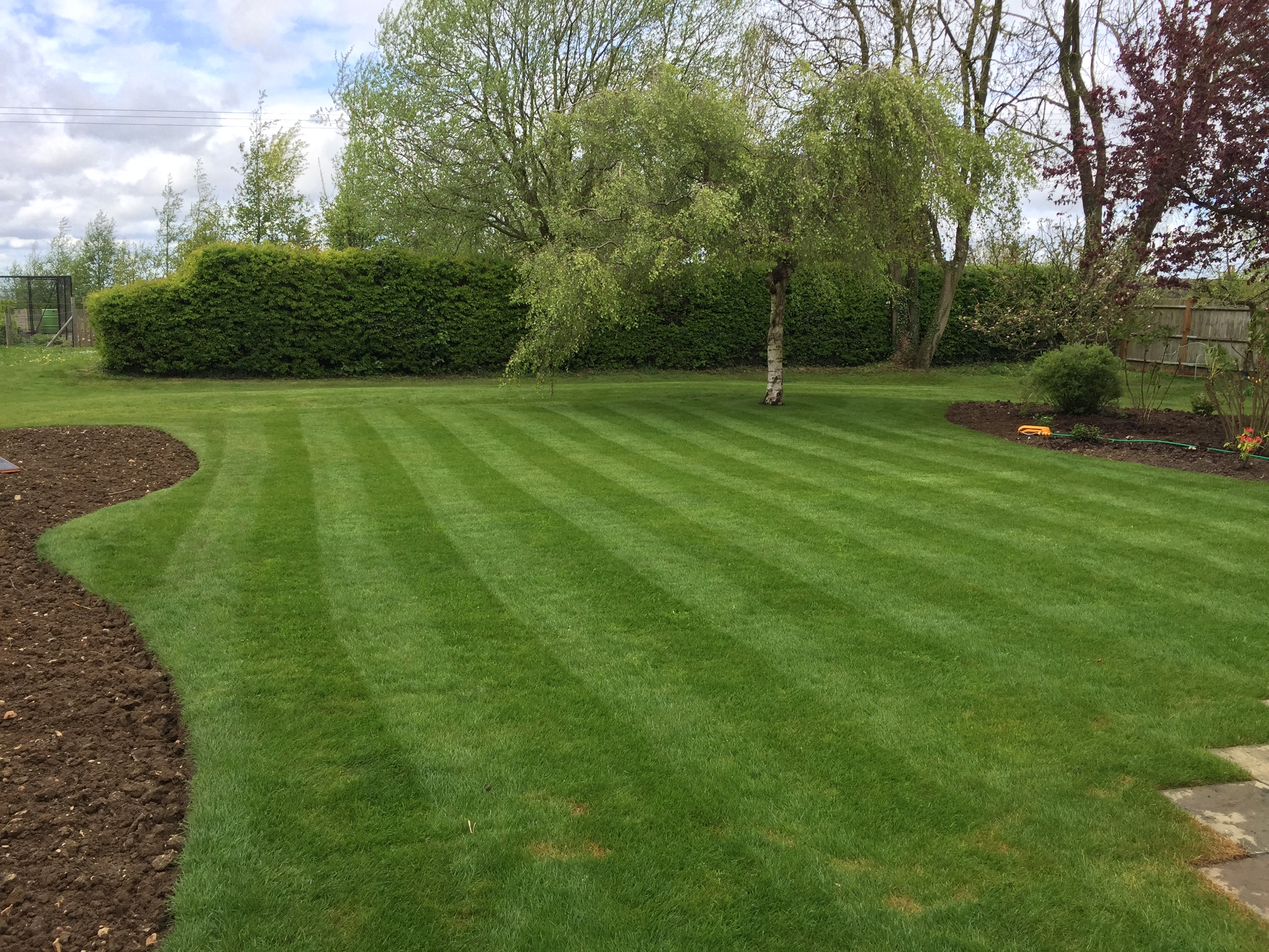 Garden & Landscaping